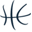 Le Coin Du Basket